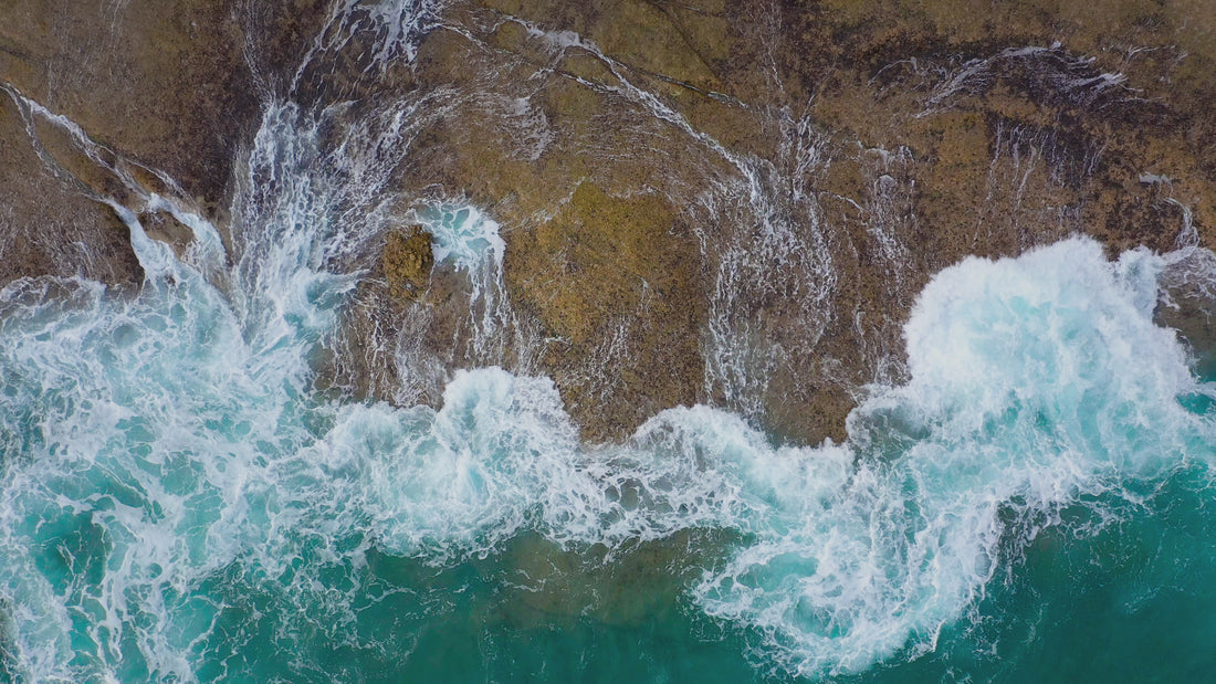 Wynn Reset Experiences_ Ocean Video